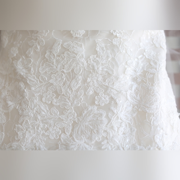 Sophia Tolli- Ivory Blush Wedding Gown for Sale - Picture 15 of 16